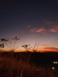 Silhouette plants on field against sky at sunset