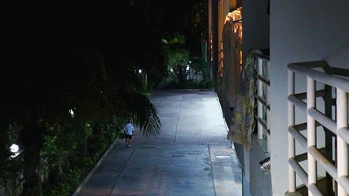 Walkway amidst trees