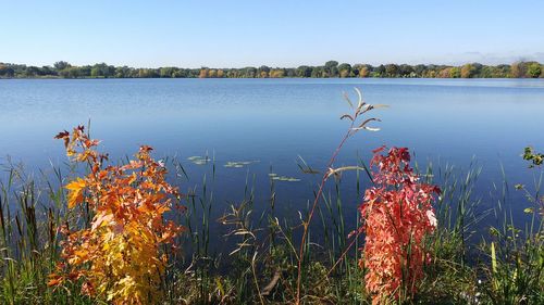 Scenic view of lake