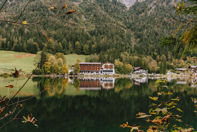 Scenic view of lake in forest