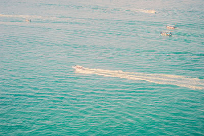 High angle view of swimming in sea