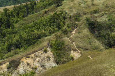 High angle view of landscape