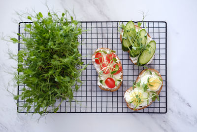 Healthy sandwiches with vegetables and microgreens. top view