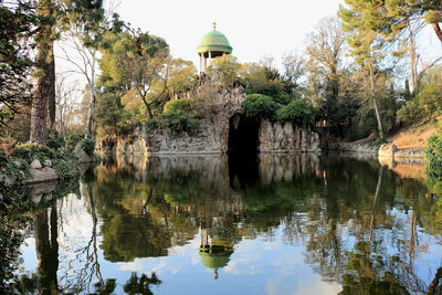 Reflection of trees in water