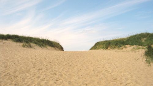 Scenic view of beach against sky