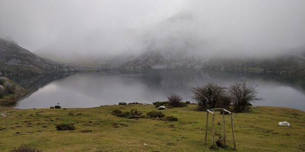 Scenic view of landscape against sky