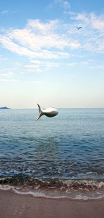 Fish balloon flying over sea against sky