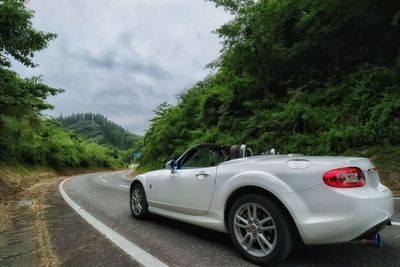 Car on road against trees