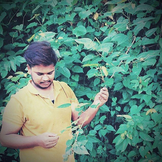 plant part, leaf, one person, real people, green color, plant, growth, lifestyles, front view, leisure activity, waist up, nature, standing, holding, young adult, young men, day, outdoors, teenager