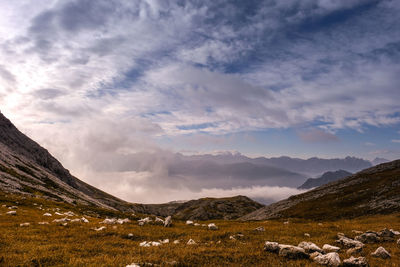 Scenic view of landscape against sky