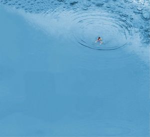 High angle view of person swimming in pool