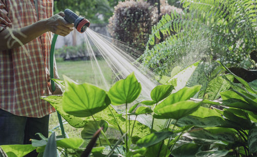 Midsection of woman holding plant