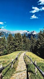 Scenic view of landscape against blue sky