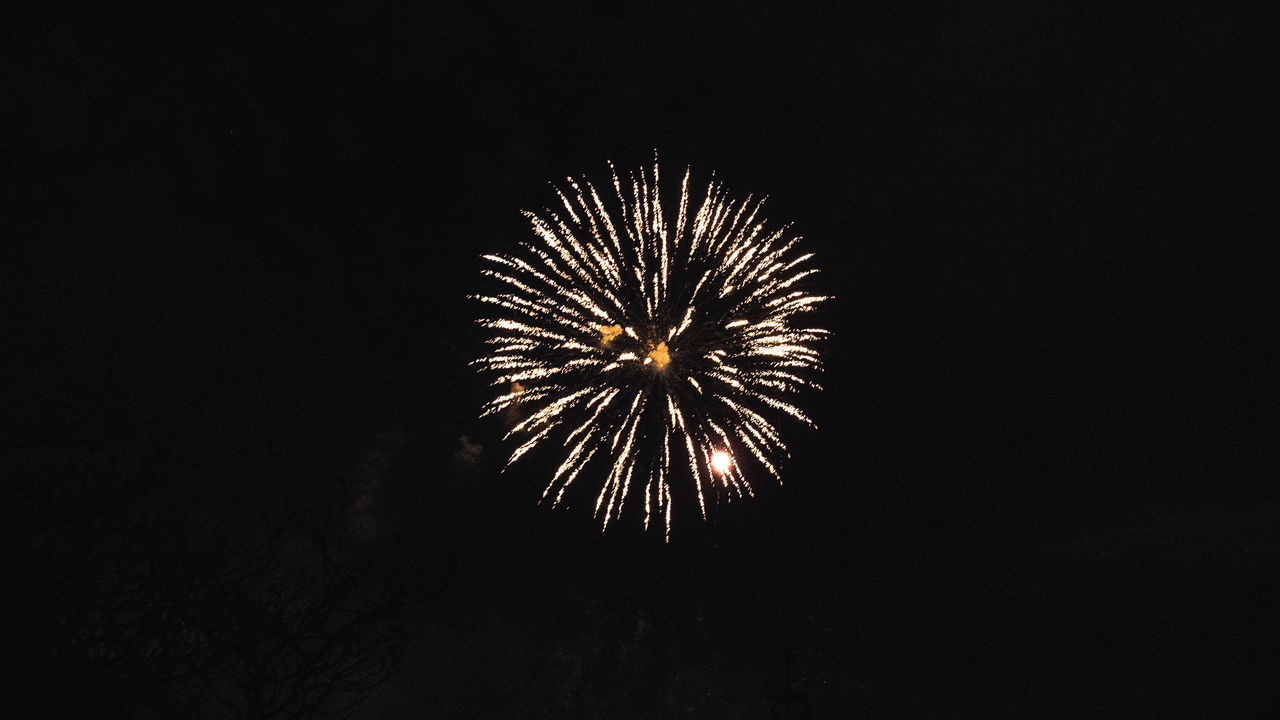 FIREWORK DISPLAY AT NIGHT