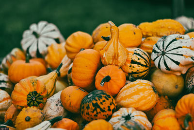 High angle view of pumpkins for sale