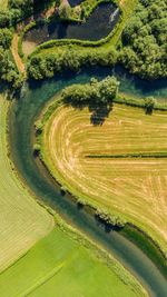 High angle view of agricultural field