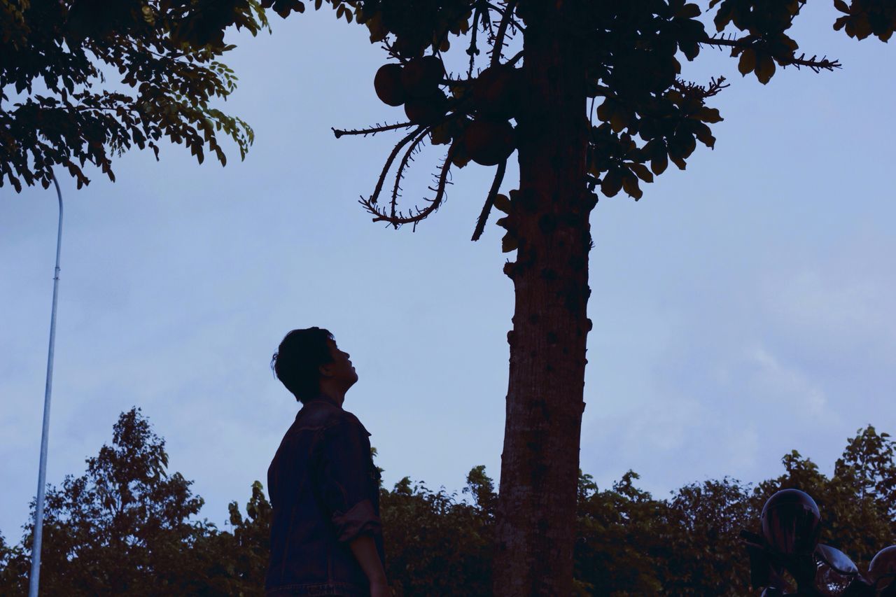 tree, standing, leisure activity, silhouette, lifestyles, branch, nature, solitude, blue, tree trunk, scenics, tranquil scene, field, tranquility, sky, growth, day, outdoors, beauty in nature