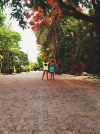 Rear view of women standing on palm trees