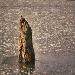 Rocks in water