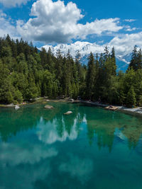 Scenic view of lake by trees against sky