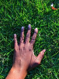 Close-up of hand on grass