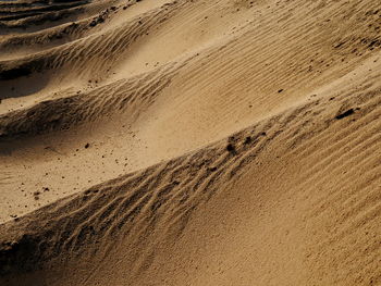 Sunlight on sand dune