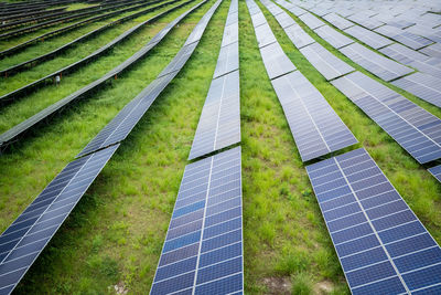 Low angle view of plants growing against sky