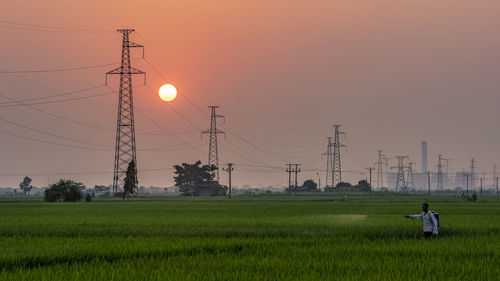 Farmer watering plants at farm during sunset