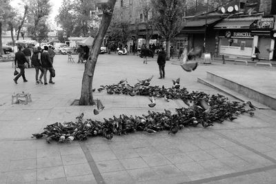 People on street in city