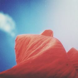 Close-up of trees against sky