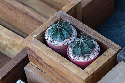 High angle view of potted plant on table