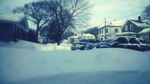 Snow covered trees in city