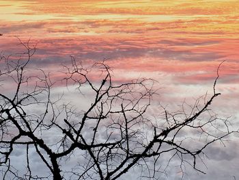 Bare tree against sky during sunset