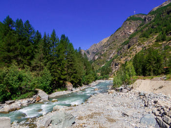 Scenic view of river amidst trees against clear sky