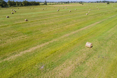 Hay bales on agricultural field