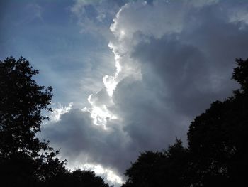 Low angle view of silhouette trees against sky