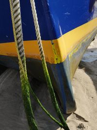 Close-up of rope in water