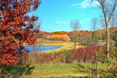 Scenic view of lake against blue sky