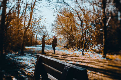 Rear view of man standing on bench during autumn