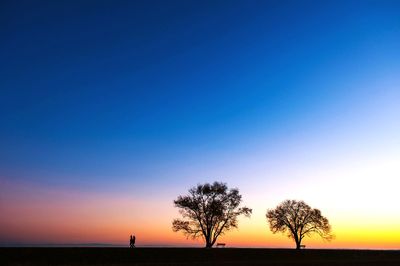 Silhouette of trees at sunset