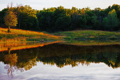 Scenic view of lake in forest against sky