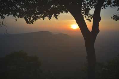 Silhouette trees against mountains during sunset