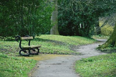 Empty bench in park