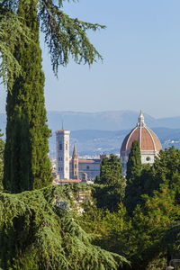 View of trees and buildings against sky