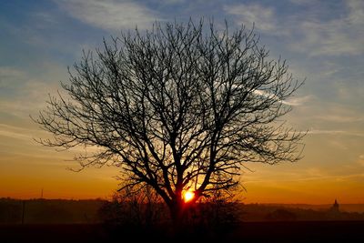 Silhouette bare tree against sky during sunset