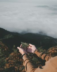 Cropped hands of woman holding leaves on mountain