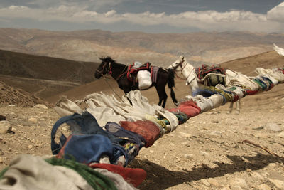 Man lying down on mountain against sky