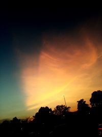 Silhouette of trees at sunset