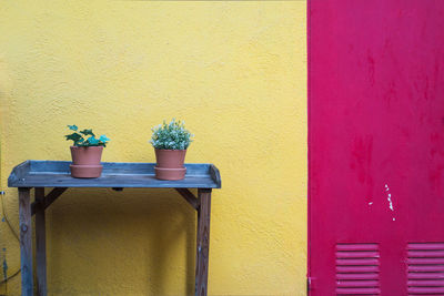 Close-up of potted plant against wall