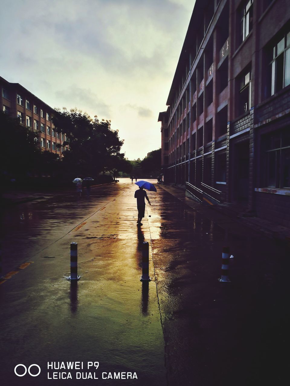 FULL LENGTH OF BOY ON WET CITY STREET AGAINST SKY